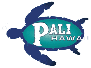 pali hawaii sandals the most comfortable sandals you ever put
